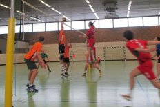 Deutsch-Polnisches Volleyballturnier